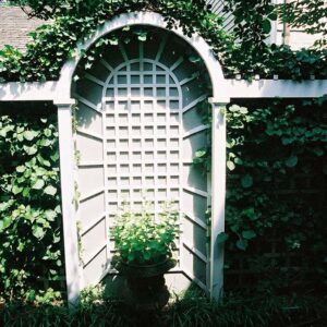 Handcrafted white garden trellis with arched structure and lattice panels supporting climbing plants in an outdoor garden setting.